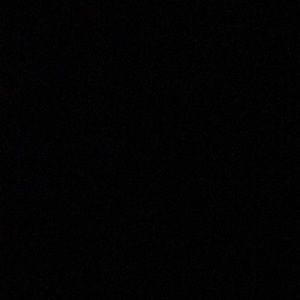 Meet your Posher, Tae